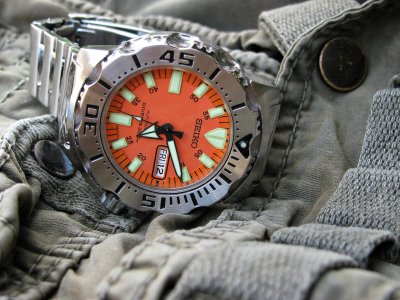 IMG_9013 ....jpg IMG_9013 ....jpg