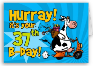 bd-scooter-cow-37-card-from-zazzle-com_1248674676220.png