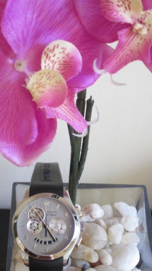 IMG_0990 (450x800).jpg