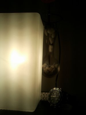 2011-09-18 08.31.11 (600x800).jpg