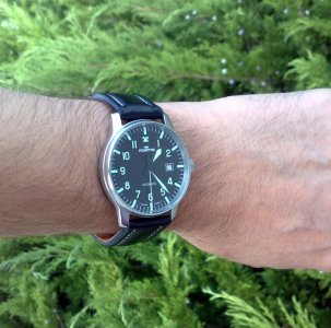 Fortis u prirodi.jpg