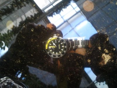 2011-10-01 14.02.04.jpg