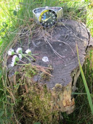 IMG_1203 (768x1024).jpg