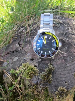 IMG_1204 (768x1024).jpg