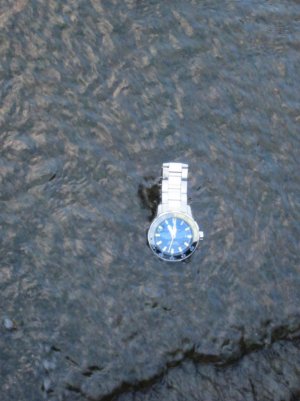 IMG_1208 (768x1024).jpg