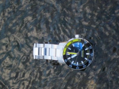 IMG_1209 (1024x768).jpg