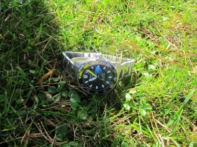 IMG_1221 (1024x768).jpg