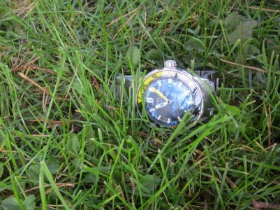 IMG_1222 (1024x768).jpg