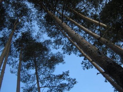 IMG_1200 (1024x768).jpg