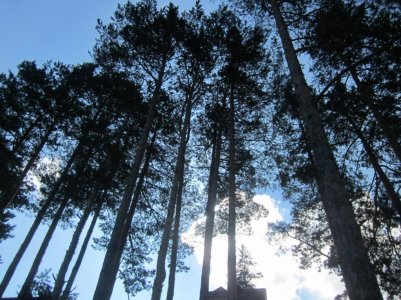 IMG_1219 (1024x768).jpg