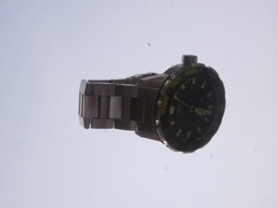 IMG_1252 (1024x768).jpg