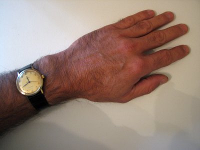 Omega 34mm.jpg