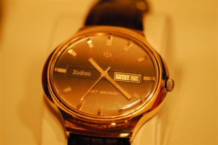 Zodijak_DSC5176 (Small).JPG