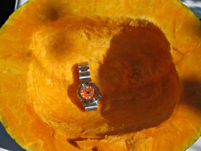 IMG_9568 ....jpg IMG_9568 ....jpg