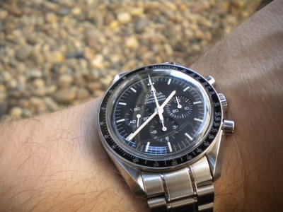 DSCN7409_zpse71284b2.jpg DSCN7409_zpse71284b2.jpg