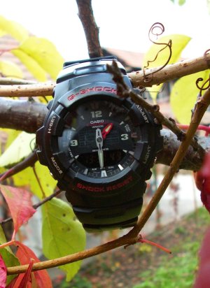 PICT0010-1.jpg PICT0010-1.jpg