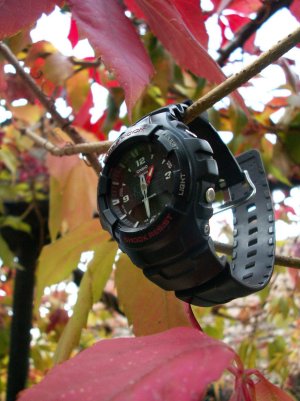 PICT0013.jpg PICT0013.jpg