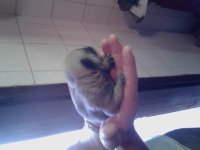 2013-11-02 11.25.32.jpg