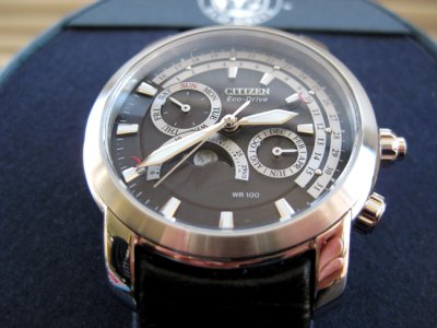 Citizen Eco-Drive Moon Phase Calendar AP1000-03E Cal. 8651.jpg