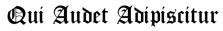 Qui Audet Adipiscitur.png