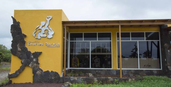 tienda_fcd_2_srowley_jul_2014_dsc7577.jpg__707x360_q85_crop.jpg tienda_fcd_2_srowley_jul_2014_dsc7577.jpg__707x360_q85_crop.jpg