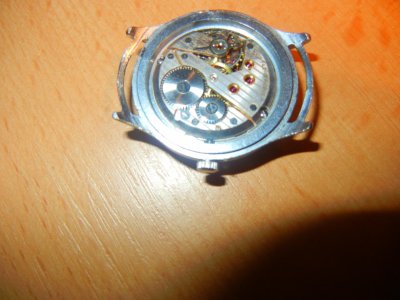 DSCN8098.jpg DSCN8098.jpg