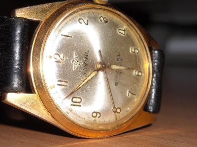 DSCN3046.JPG DSCN3046.JPG