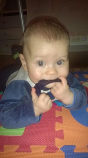 WP_20150119_004.jpg WP_20150119_004.jpg