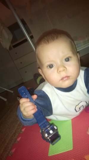 WP_20150119_005.jpg WP_20150119_005.jpg