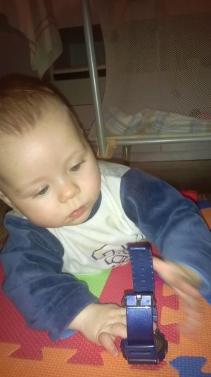 WP_20150119_006.jpg WP_20150119_006.jpg