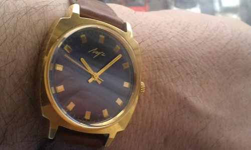 IMAG1261.jpg IMAG1261.jpg