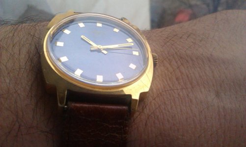 IMAG1264.jpg IMAG1264.jpg