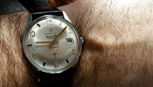 2015-02-21 09.08.23.jpg