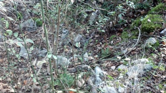 IMG_20141102 (Copy).jpg