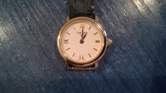 WP_20150319_003.jpg WP_20150319_003.jpg