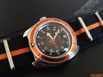 VOSTOK-Russian scuba 03.jpg