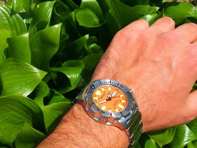 20150413_134932 ....jpg