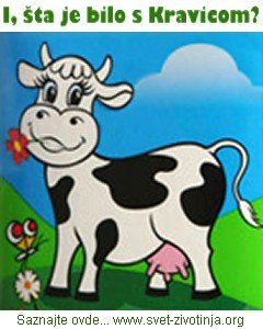 kravica.jpg
