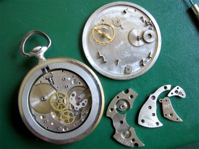 Munja1.JPG Munja1.JPG