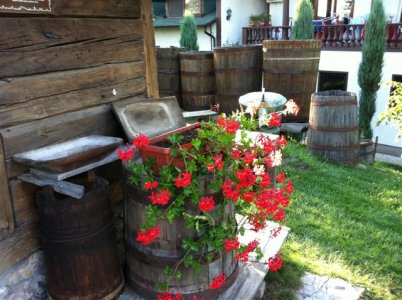 5IMG_0845 (Small).jpg