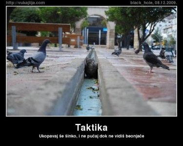 taktika-627.jpg