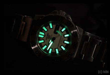 DSC_3985.jpg DSC_3985.jpg