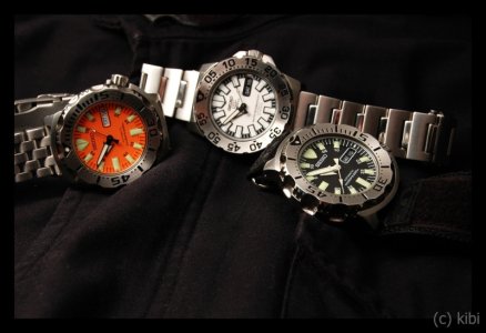 DSC_3993.jpg DSC_3993.jpg