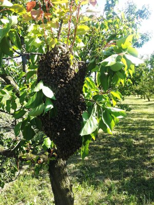 20150512_161652 ....jpg