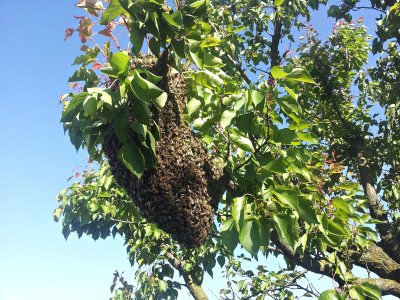 20150512_161752 ....jpg