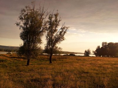 20150625_193506 ....jpg