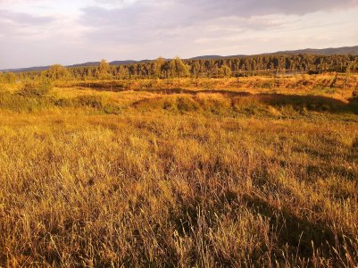 20150625_193612 ....jpg