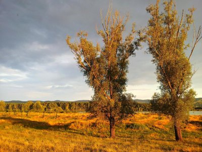 20150625_194057 ....jpg