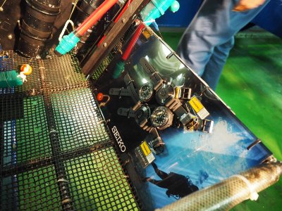 Seiko Marinemaster test.jpg Seiko Marinemaster test.jpg