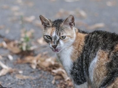 2015-06-18 18.21.58.jpg